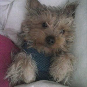 Meet your Posher, Madame